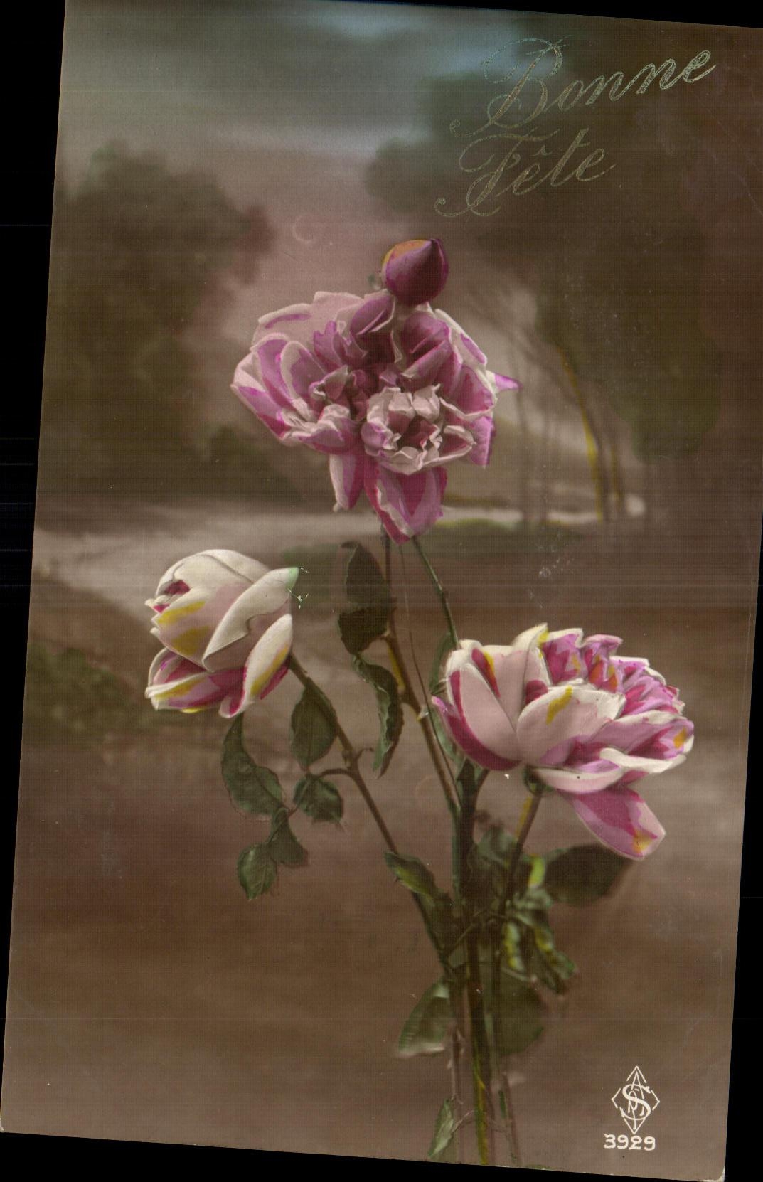 CPA Fantaisie Fleurs 