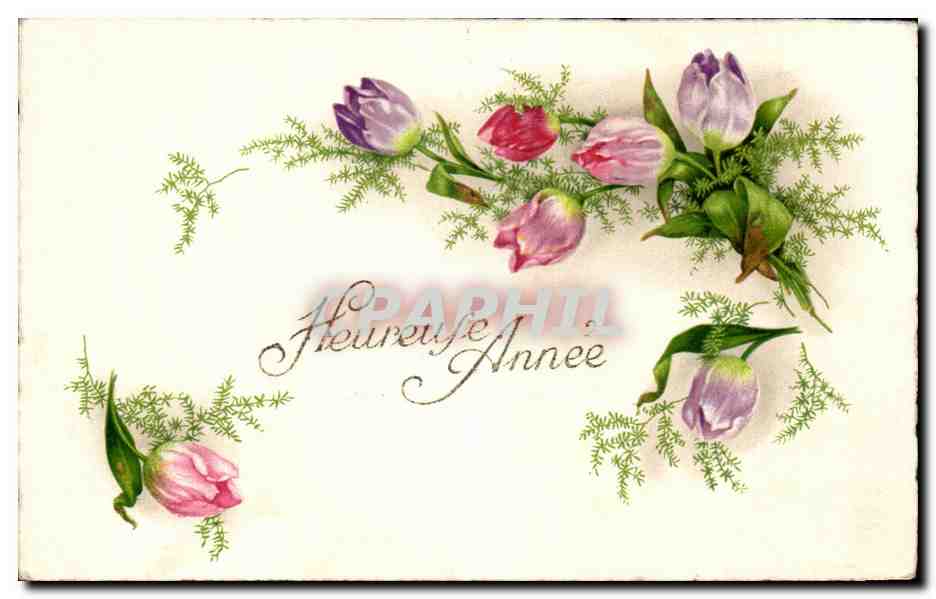 CPA Fantaisie Fleurs 