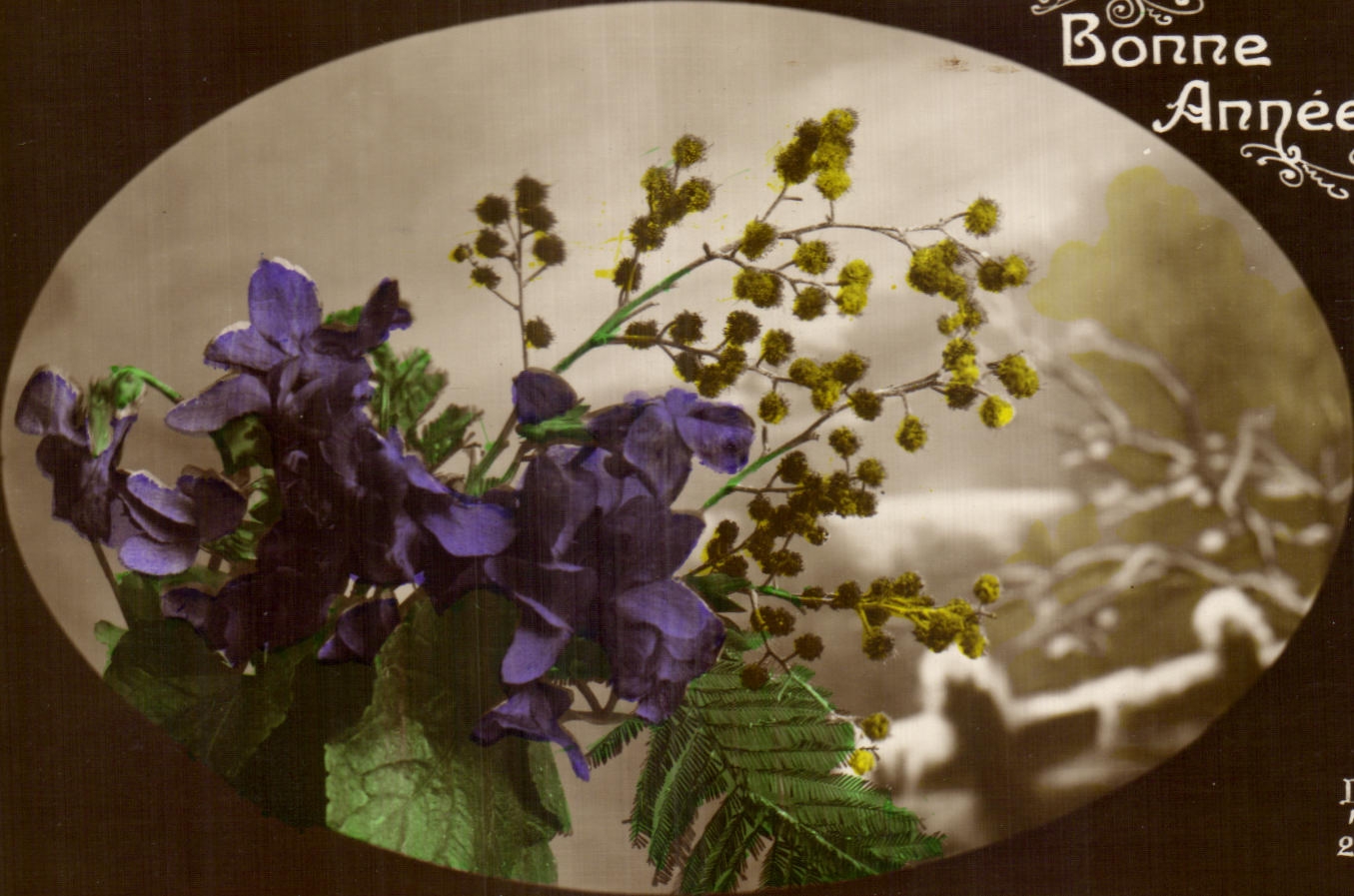 CPA Fantaisie Fleurs 