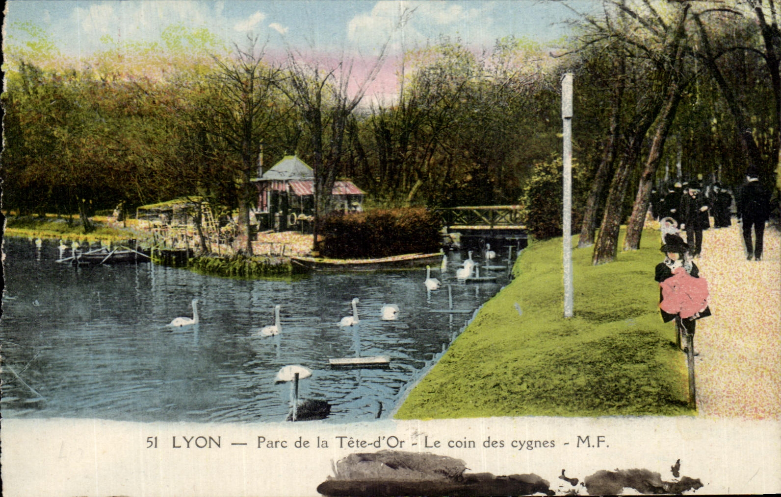 LYON — Parc de la Tête-d'Or — Le coin des cygnes — M.F.