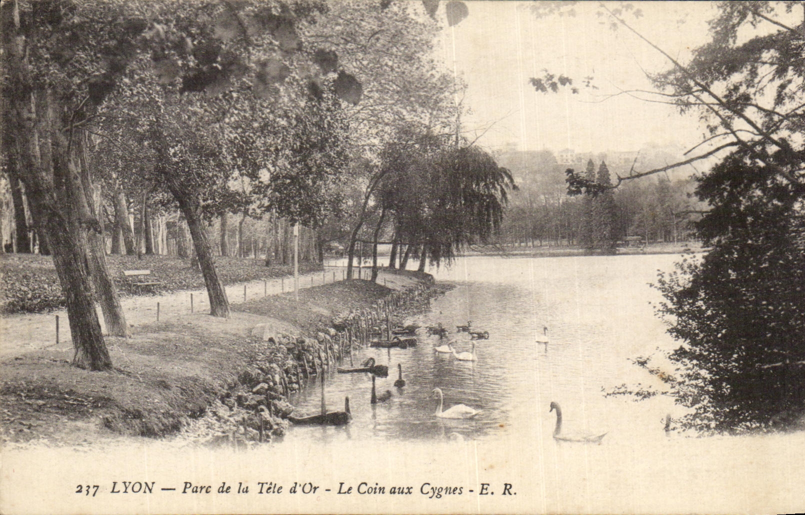 CPA Lyon Parc De La Tete d'Or Le Coin Aux Cygnes