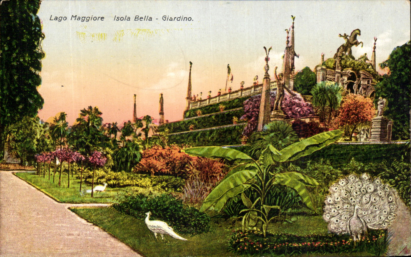 CPA Italie Lago Maggiore isola Bella Giardino
