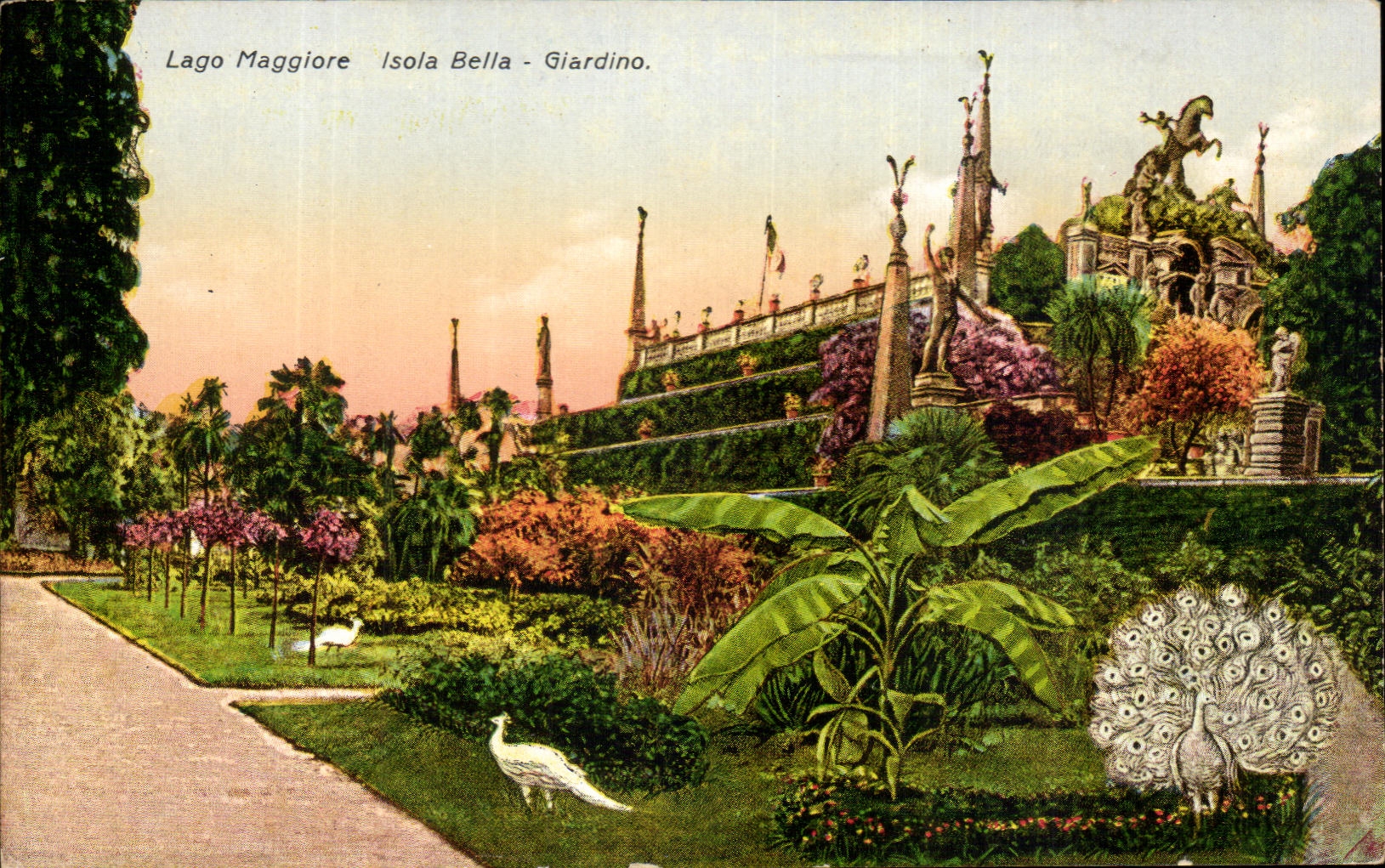 CPA Italie Laggo Maggiore Isola Bella Giardino