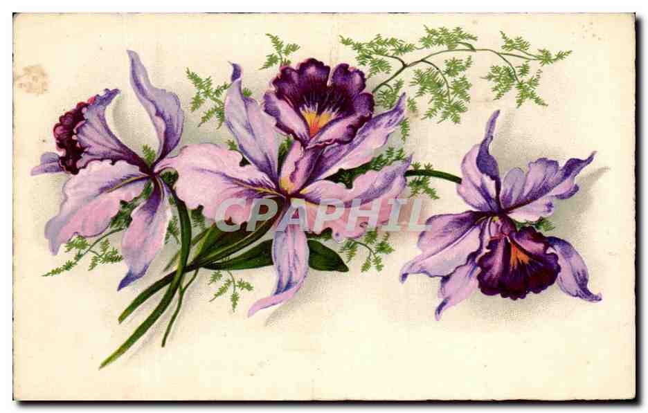 CPA Fantaisie Fleur 