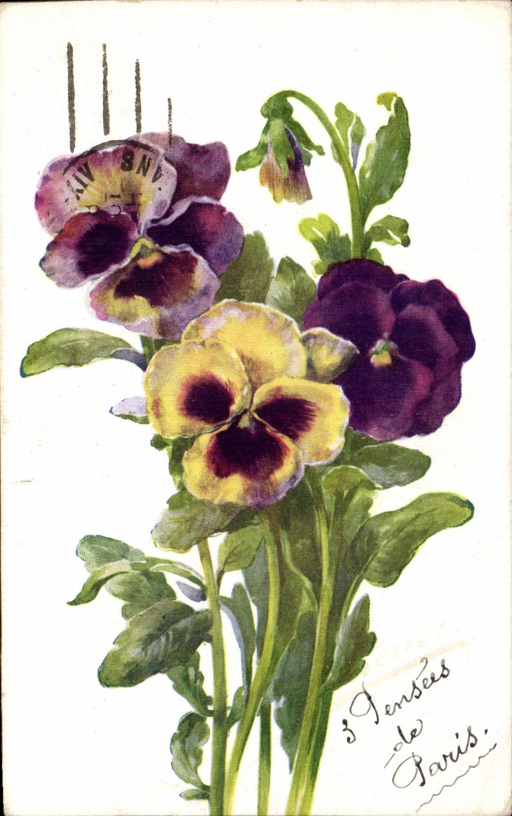 CPA Fantaisie Fleurs 