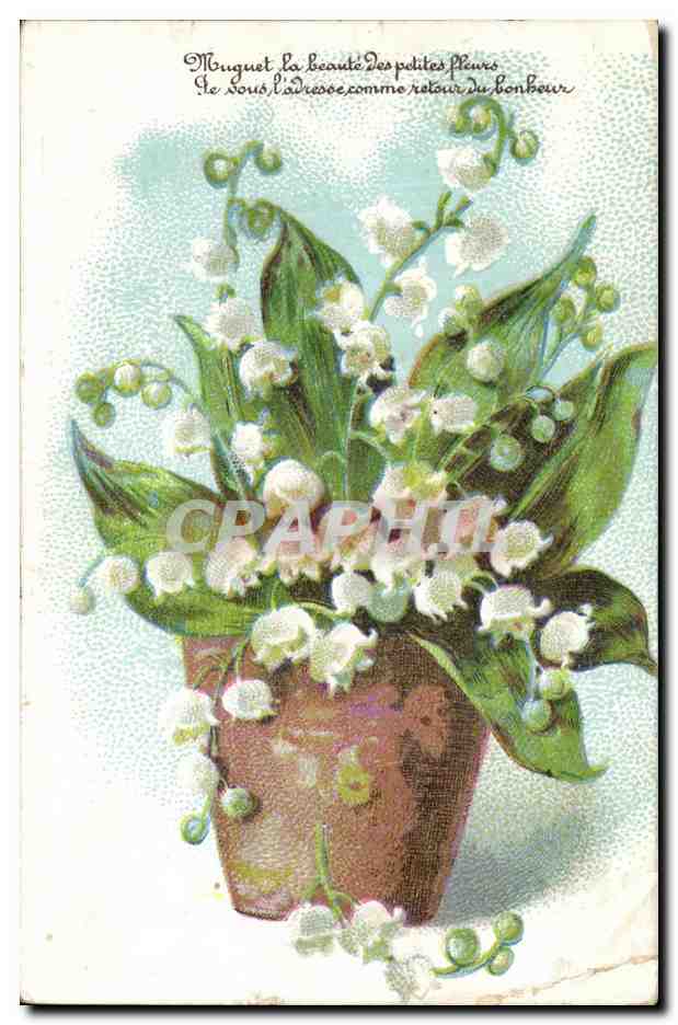 CPA Fantaisie Fleurs Muguet