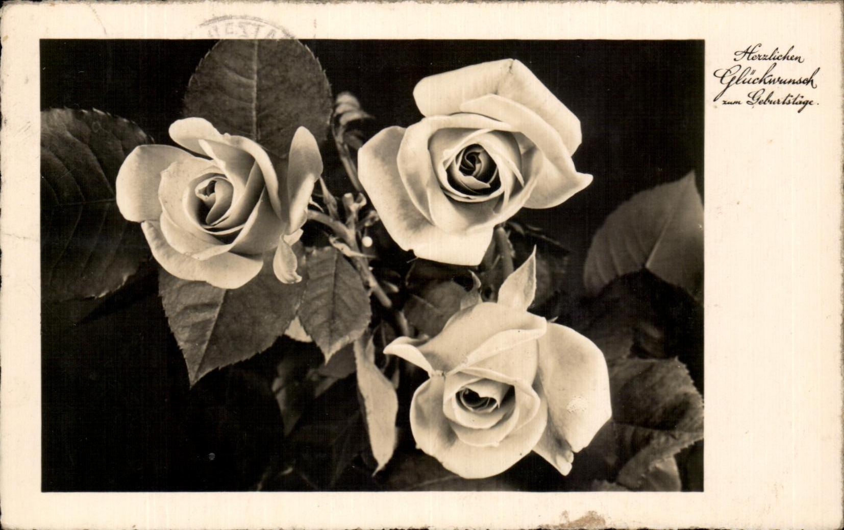 CPA Fantaisie Fleurs Roses 
