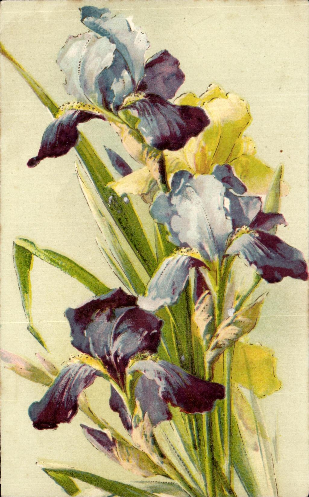 CPA Fantaisie Fleurs 