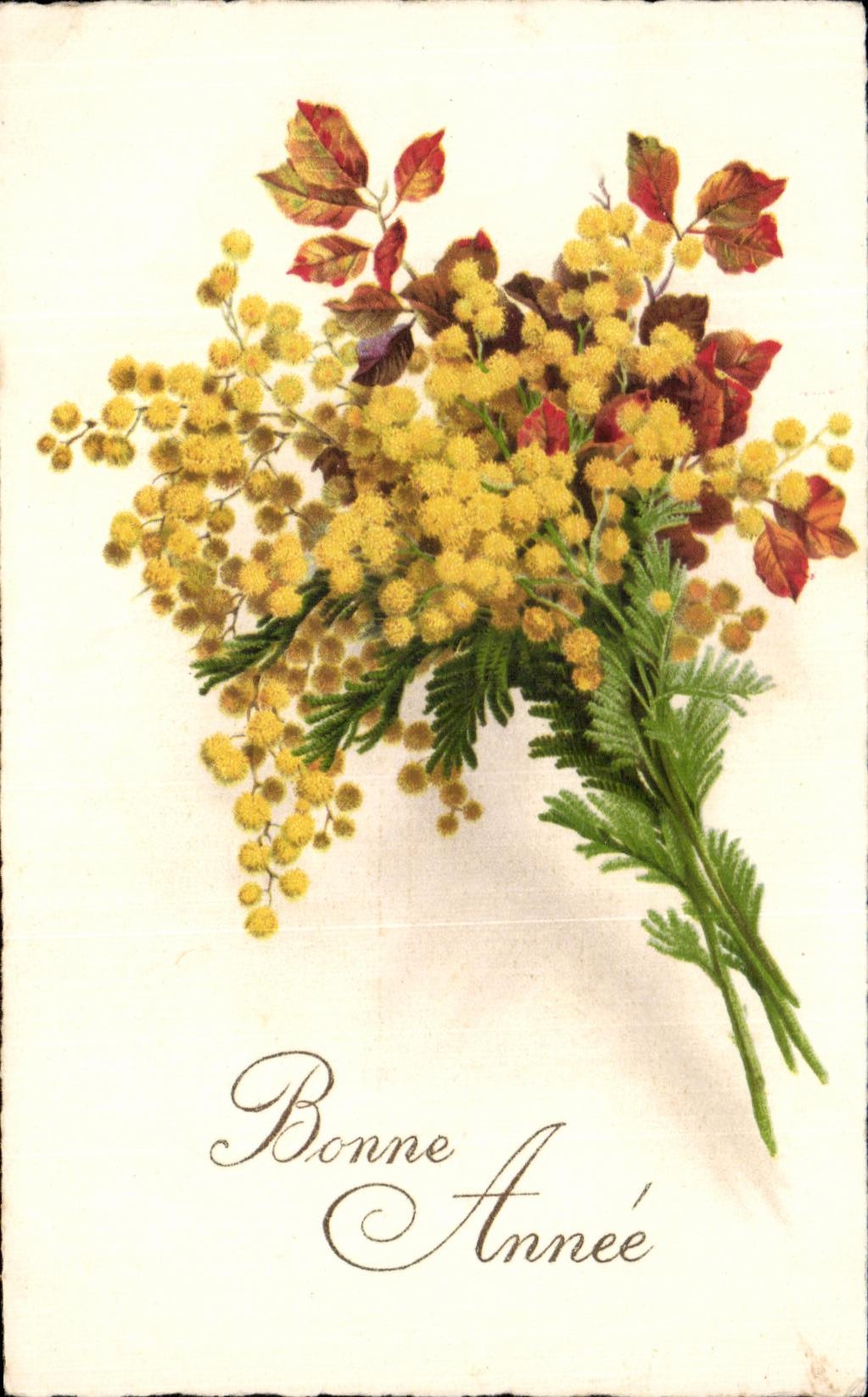 CPA Fantaisie Fleurs 