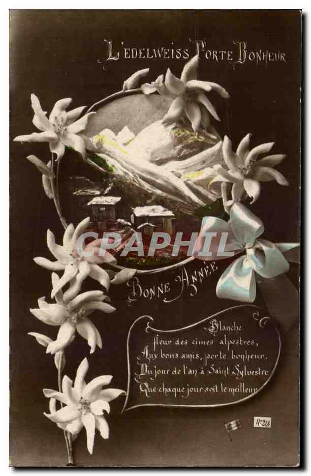 CPA Fantaisie Fleurs Edelweiss