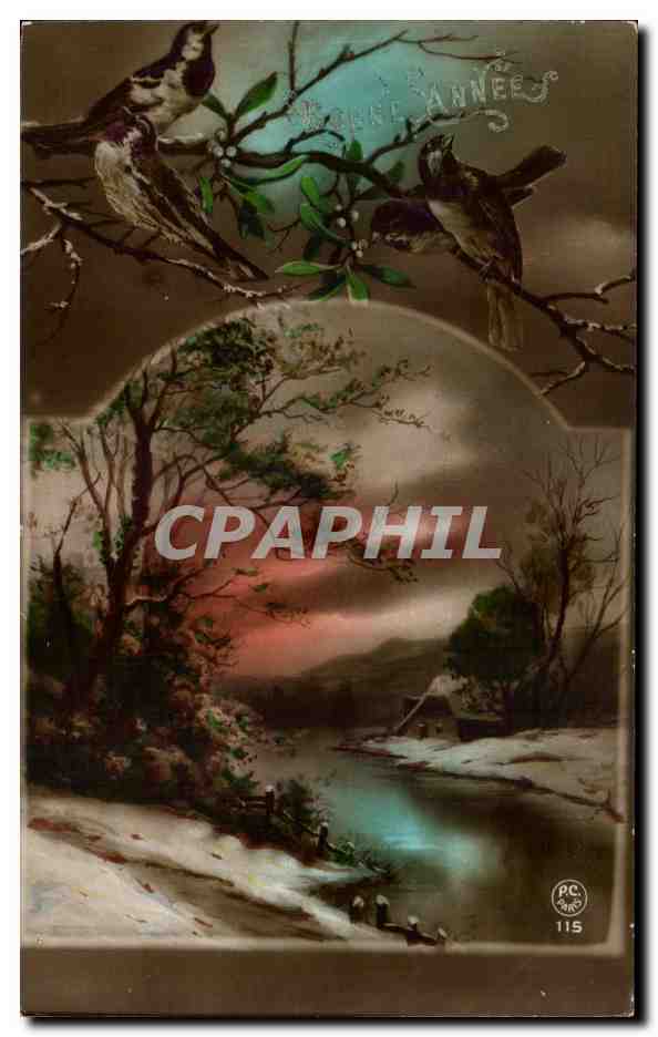 CPA Fantaisie paysage Oiseaux