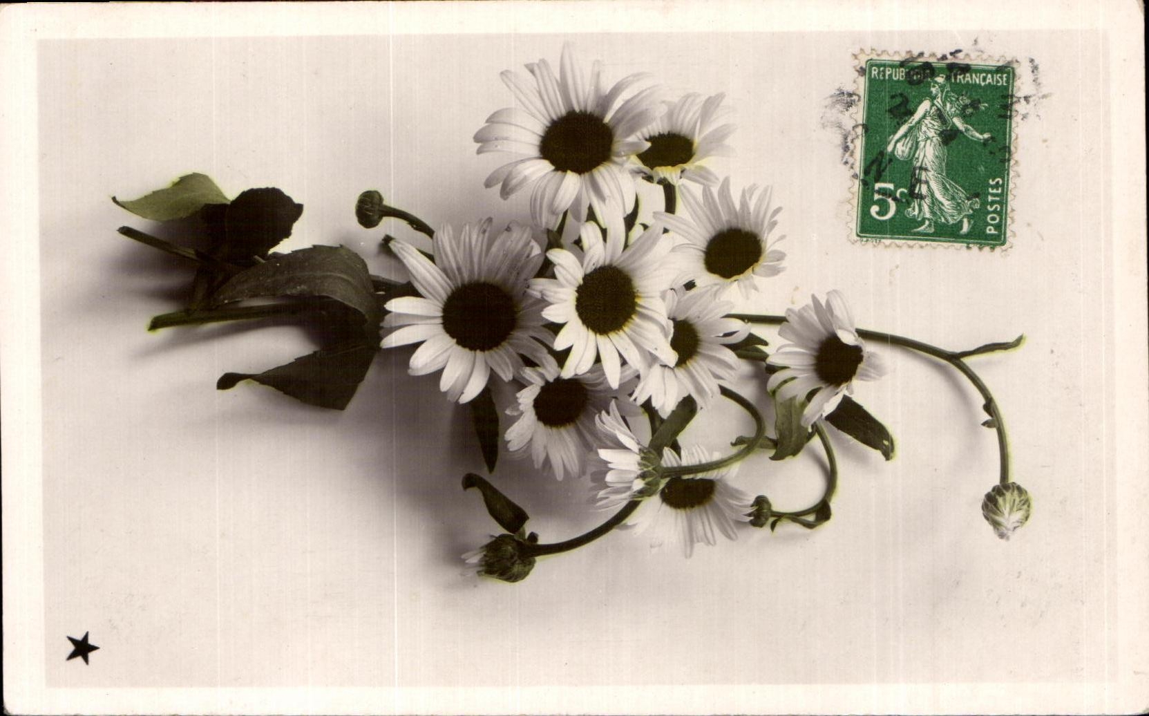 CPA Fantaisie Fleurs 