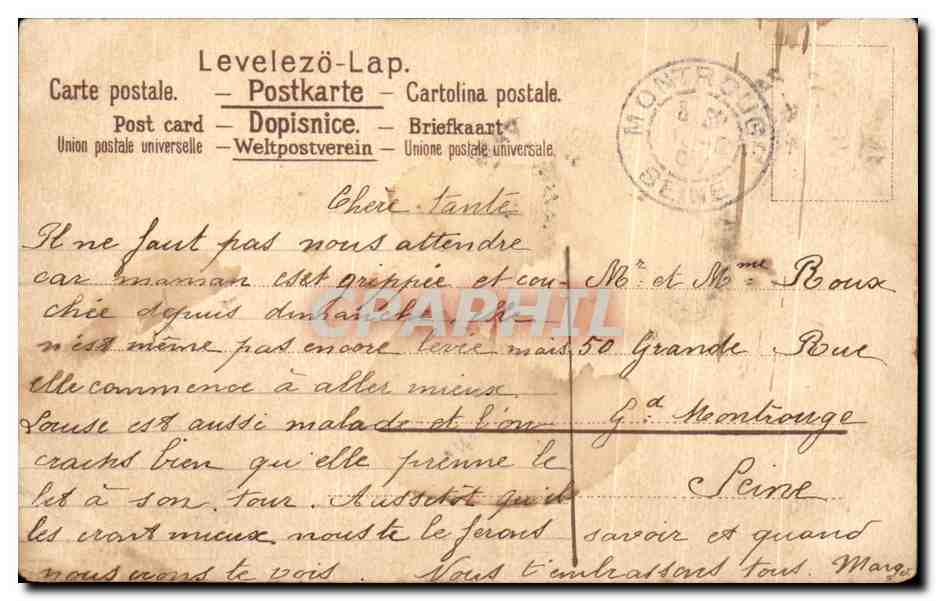 CPA Fantaisie Chien et chat  — Back