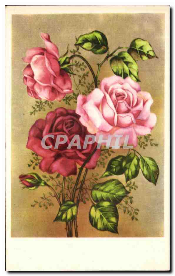CPA Fantaisie Fleurs 
