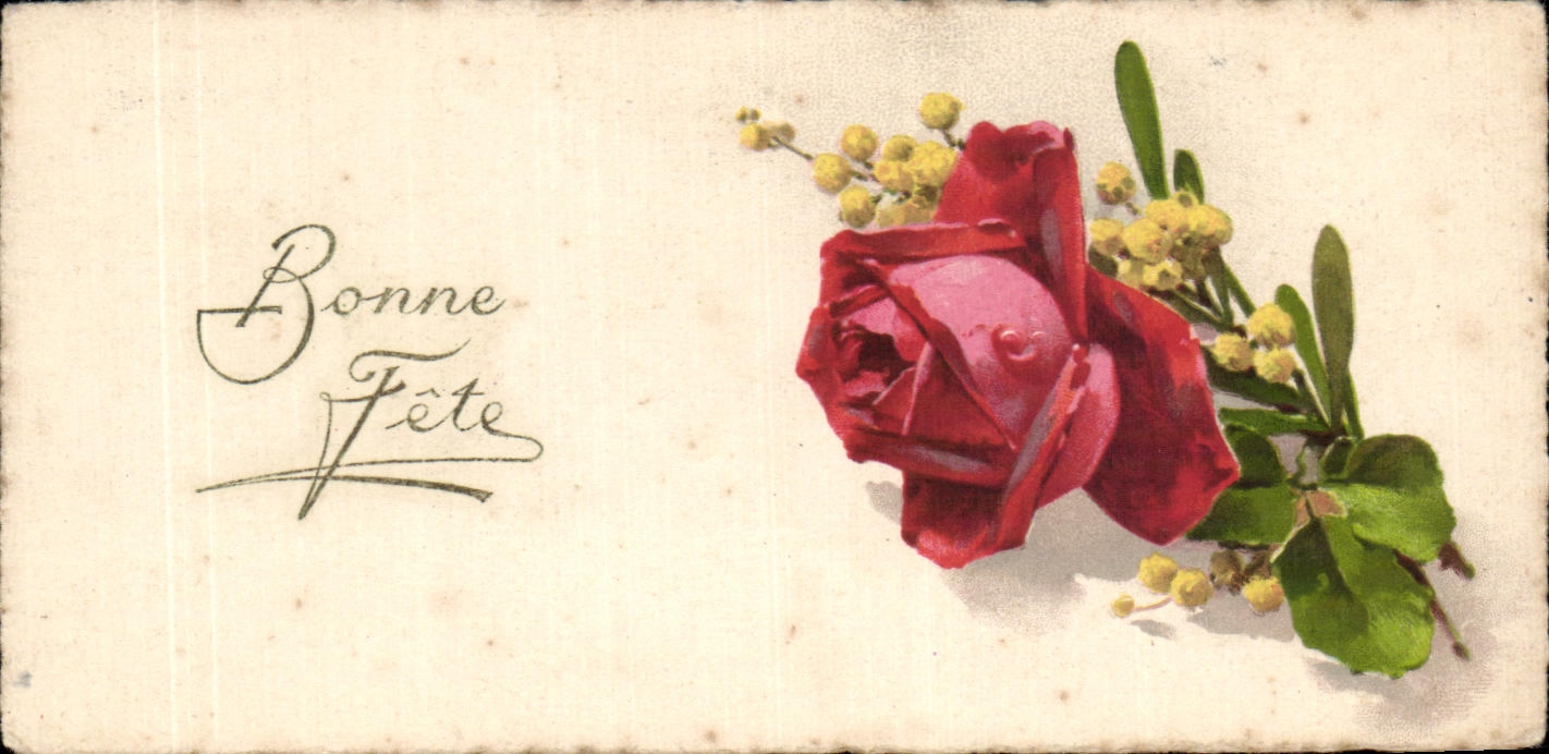 CPA Fantaisie Fleurs Rose