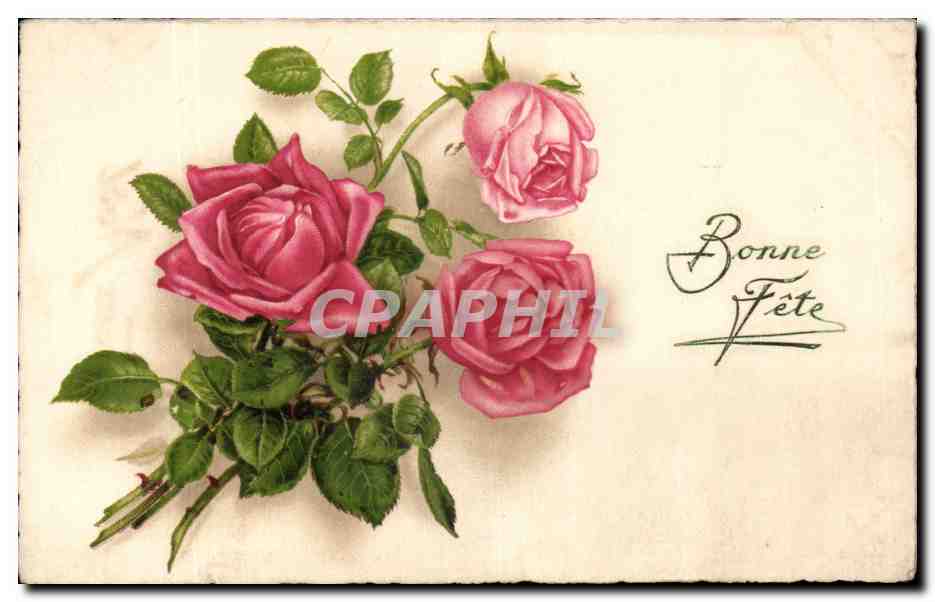 CPA Fantaisie Fleurs Roses