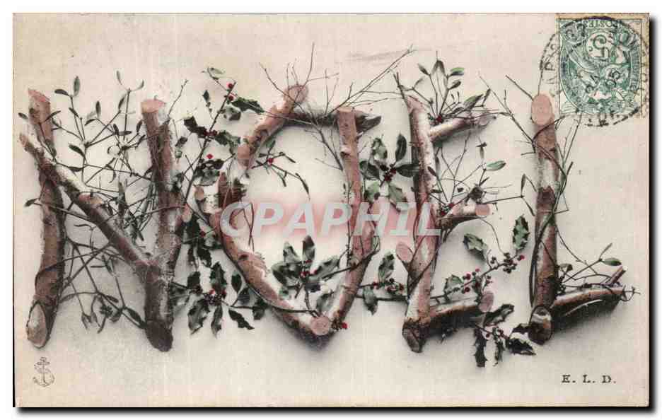 CPA Fantaisie Fleurs Noel 