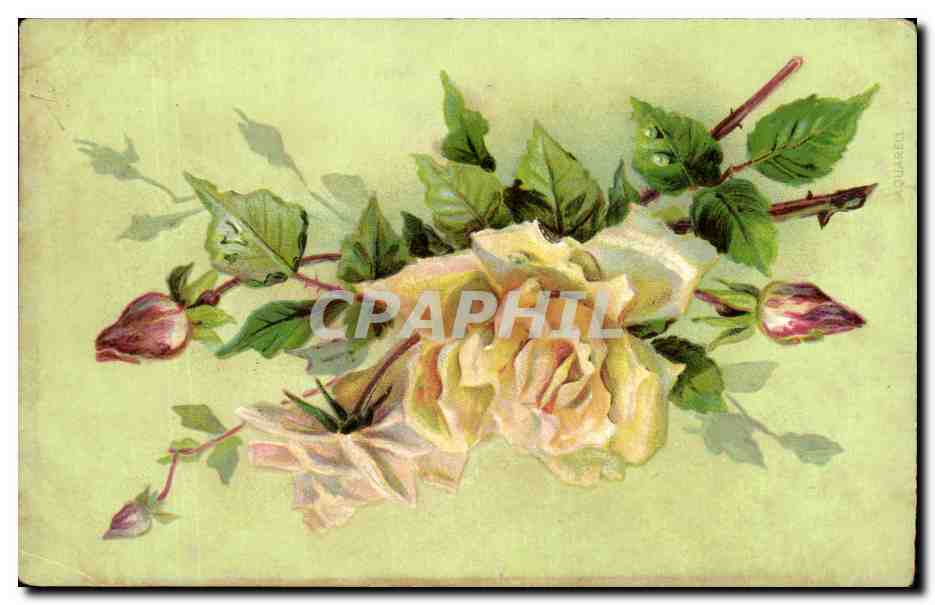 CPA Fantaisie Fleurs