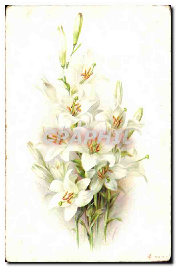 CPA Fantaisie Fleurs 
