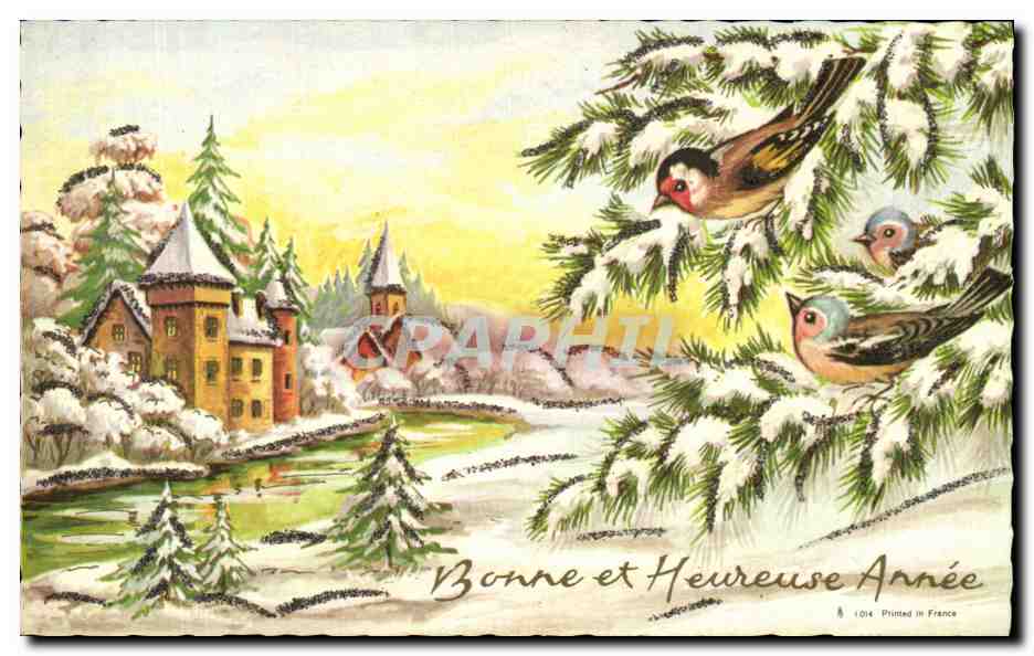 CPA Fantaisie Bonne annee oiseaux
