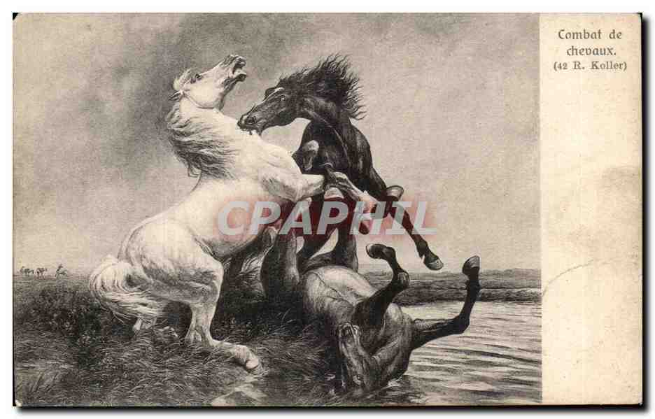 Combat de chevaux — (42 R. Koller) — Brunner & Cie, Zürich