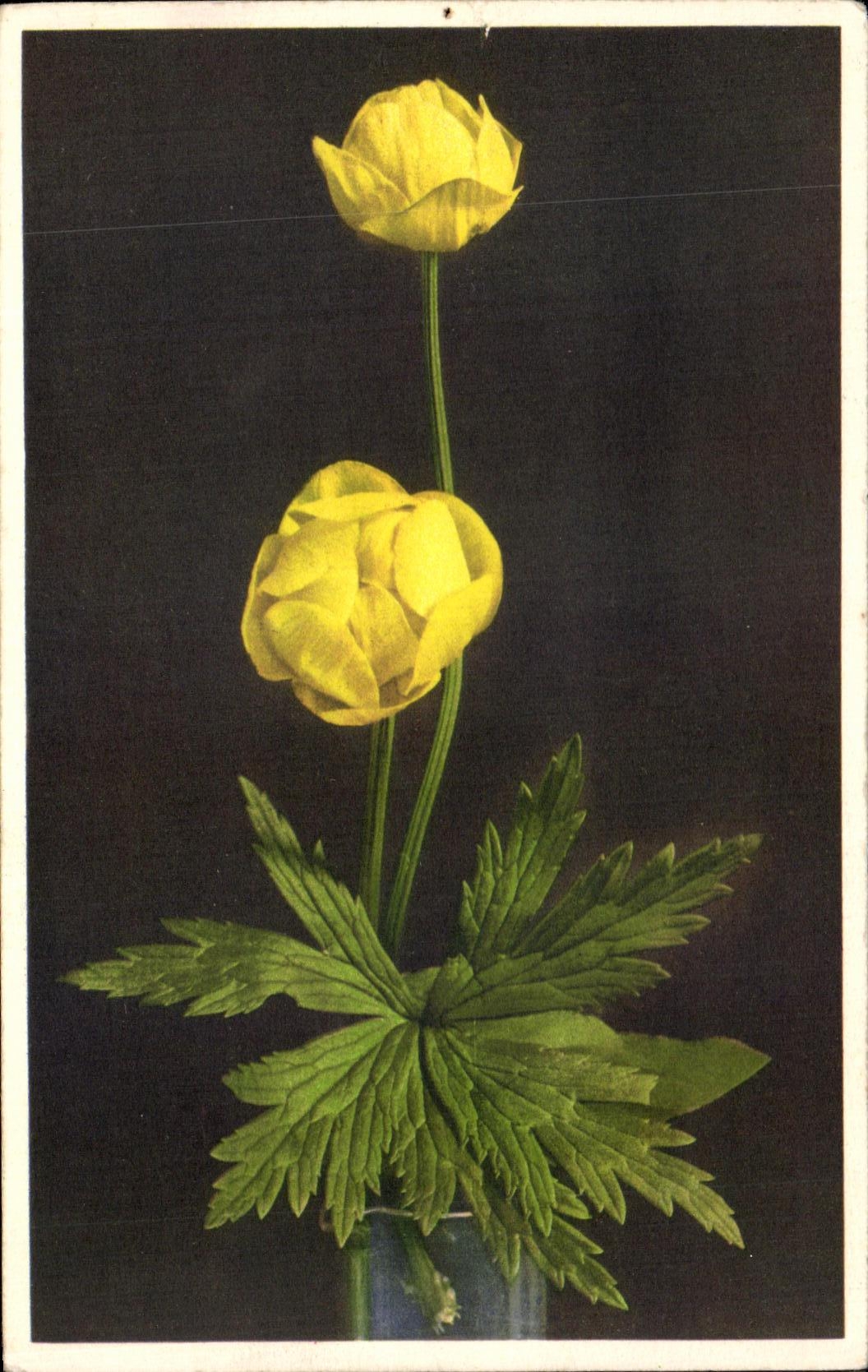 CPA Fantaisie Fleurs 