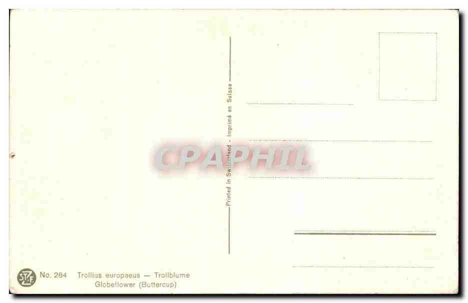 CPA Fantaisie Fleurs  — Verso