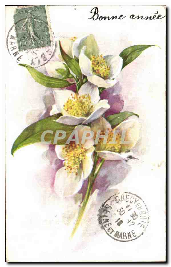 CPA Fantaisie Fleurs 