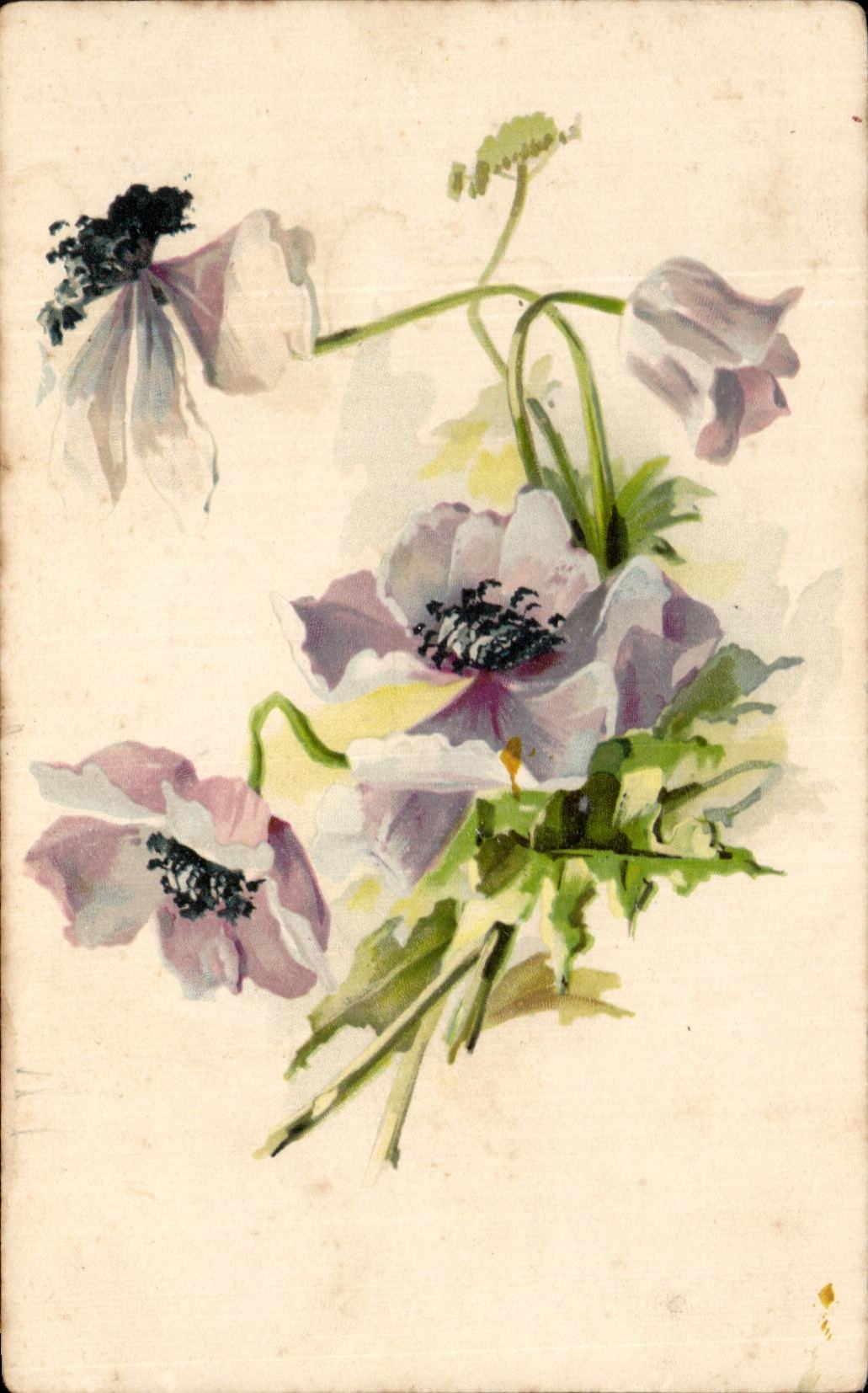CPA Fantaisie Fleurs 