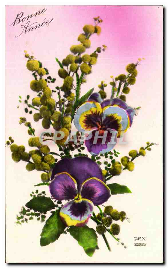 CPA Fantaisie Fleurs 