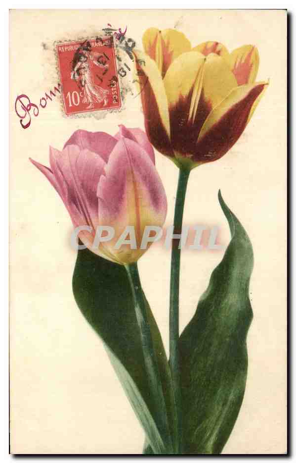 CPA Fantaisie Fleurs 