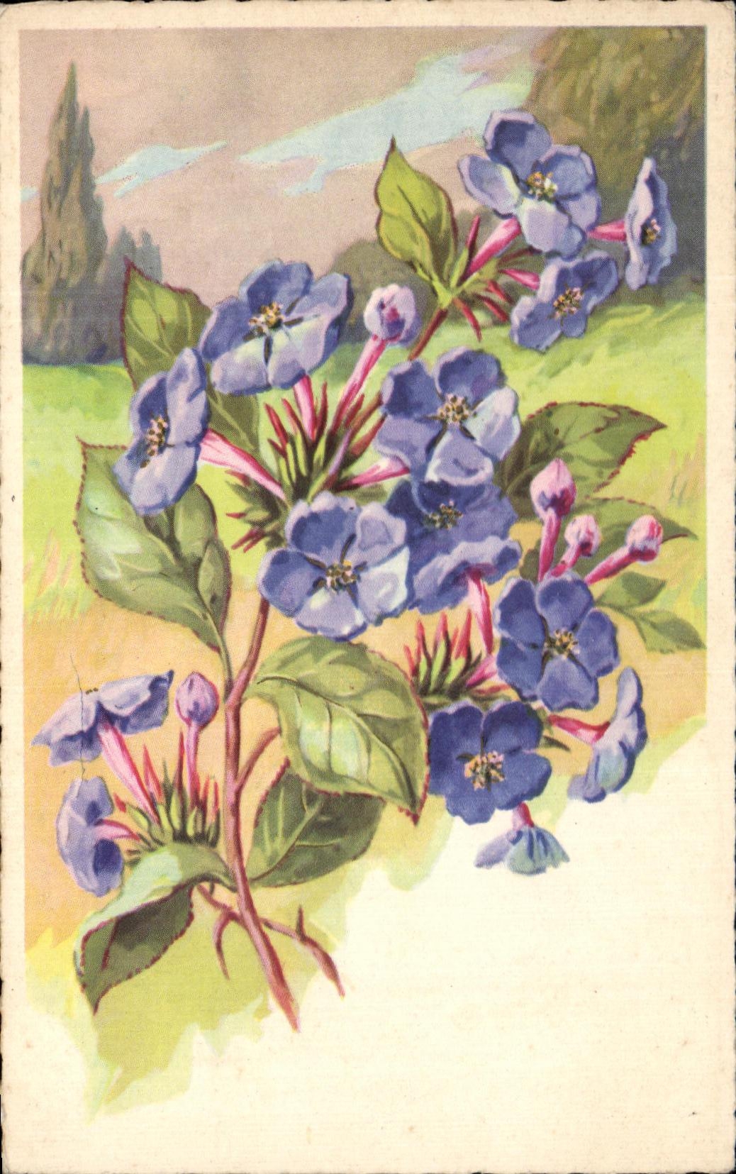 CPA Fantaisie Fleurs 