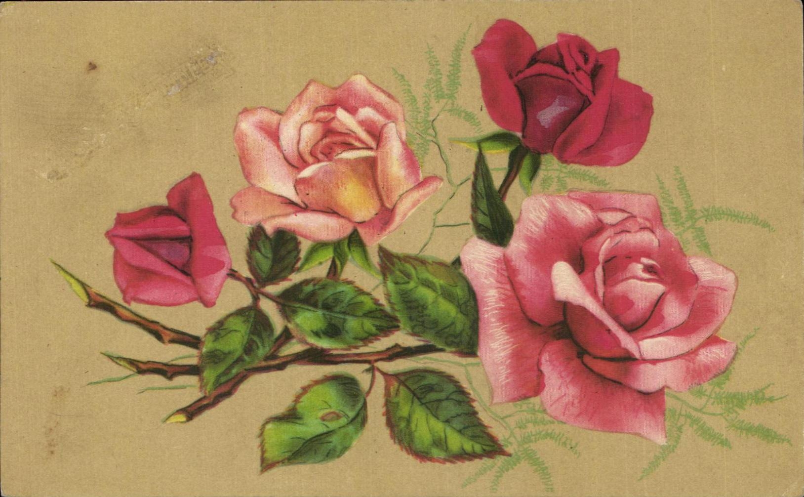 CPA Fantaisie Fleurs 