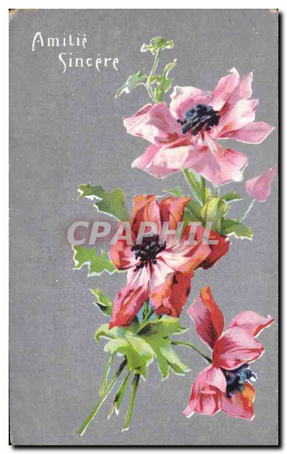 CPA Fantaisie Fleurs 