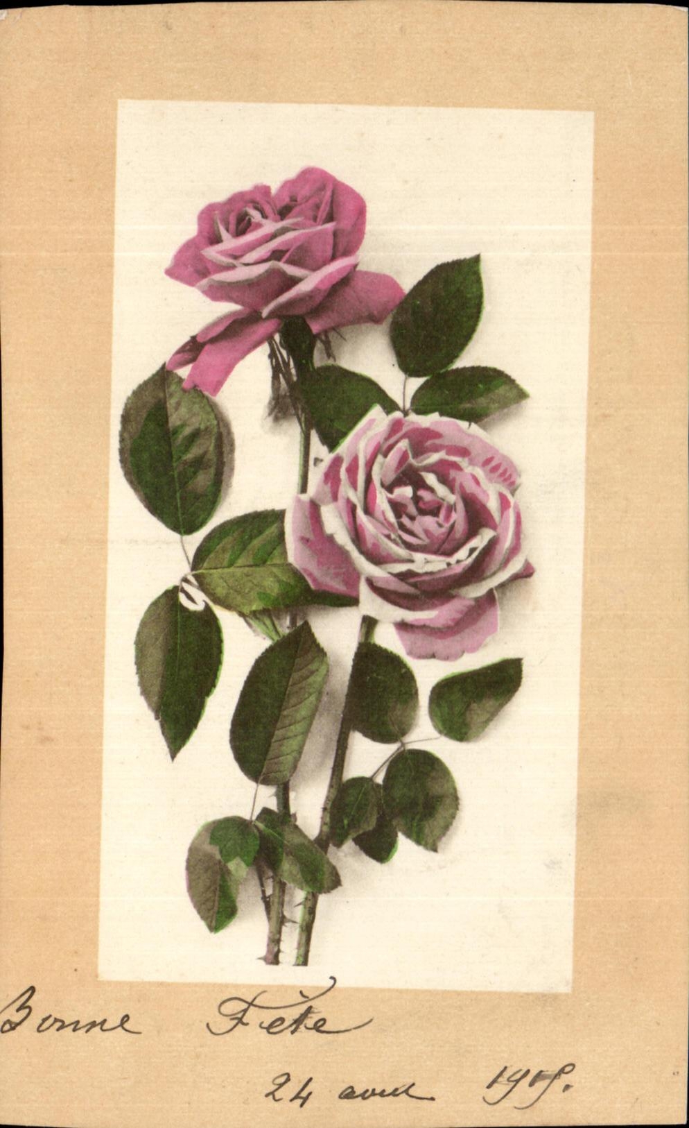 CPA Fantaisie Fleurs Rose