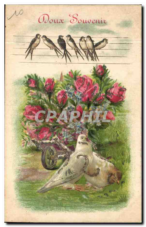 CPA Fantaisie Fleurs Colombes Hirondelles 