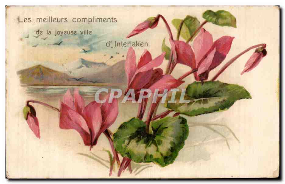 CPA Fantaisie Fleurs Interlaken 