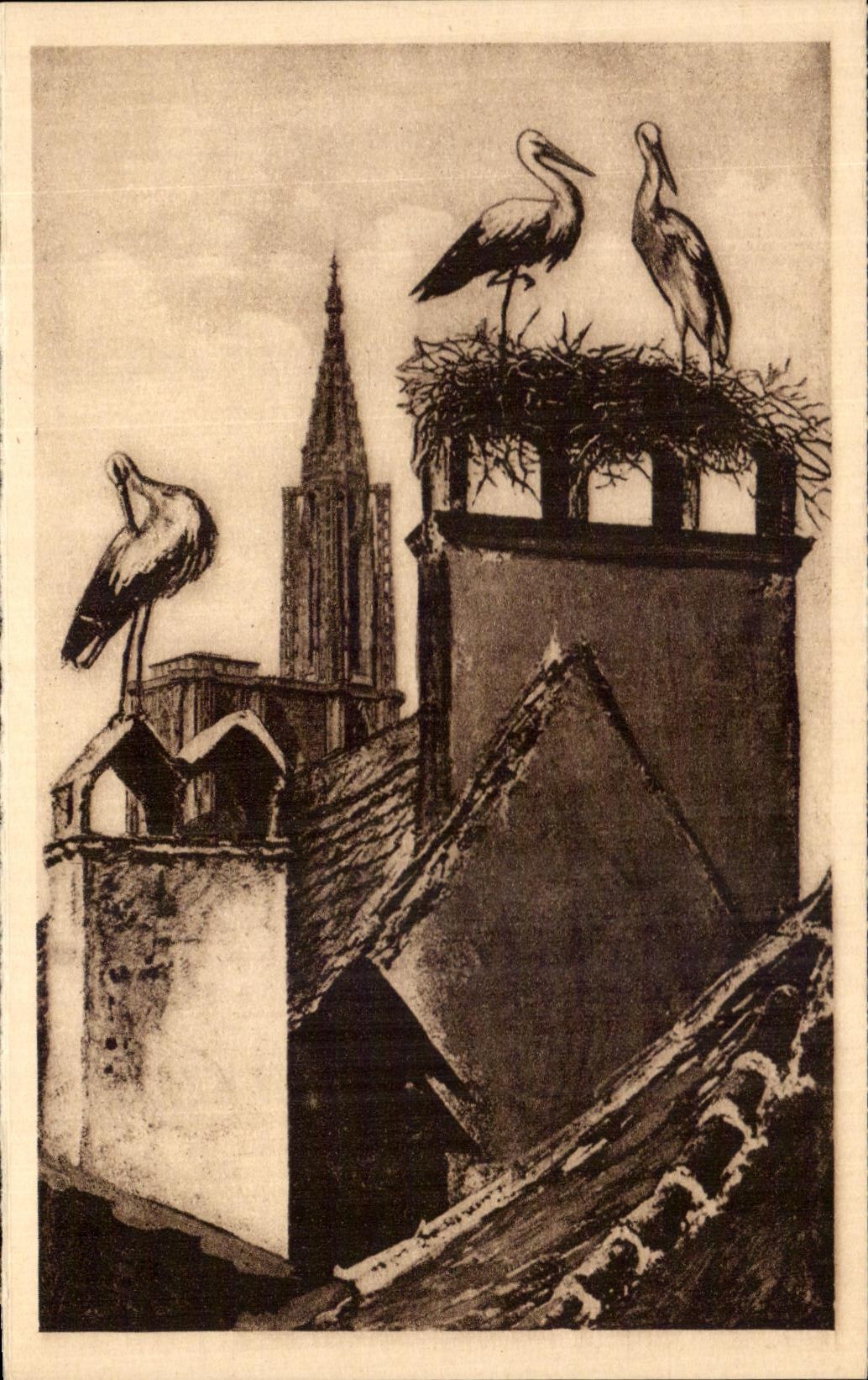 CPA Strasbourg Nid De Cigognes