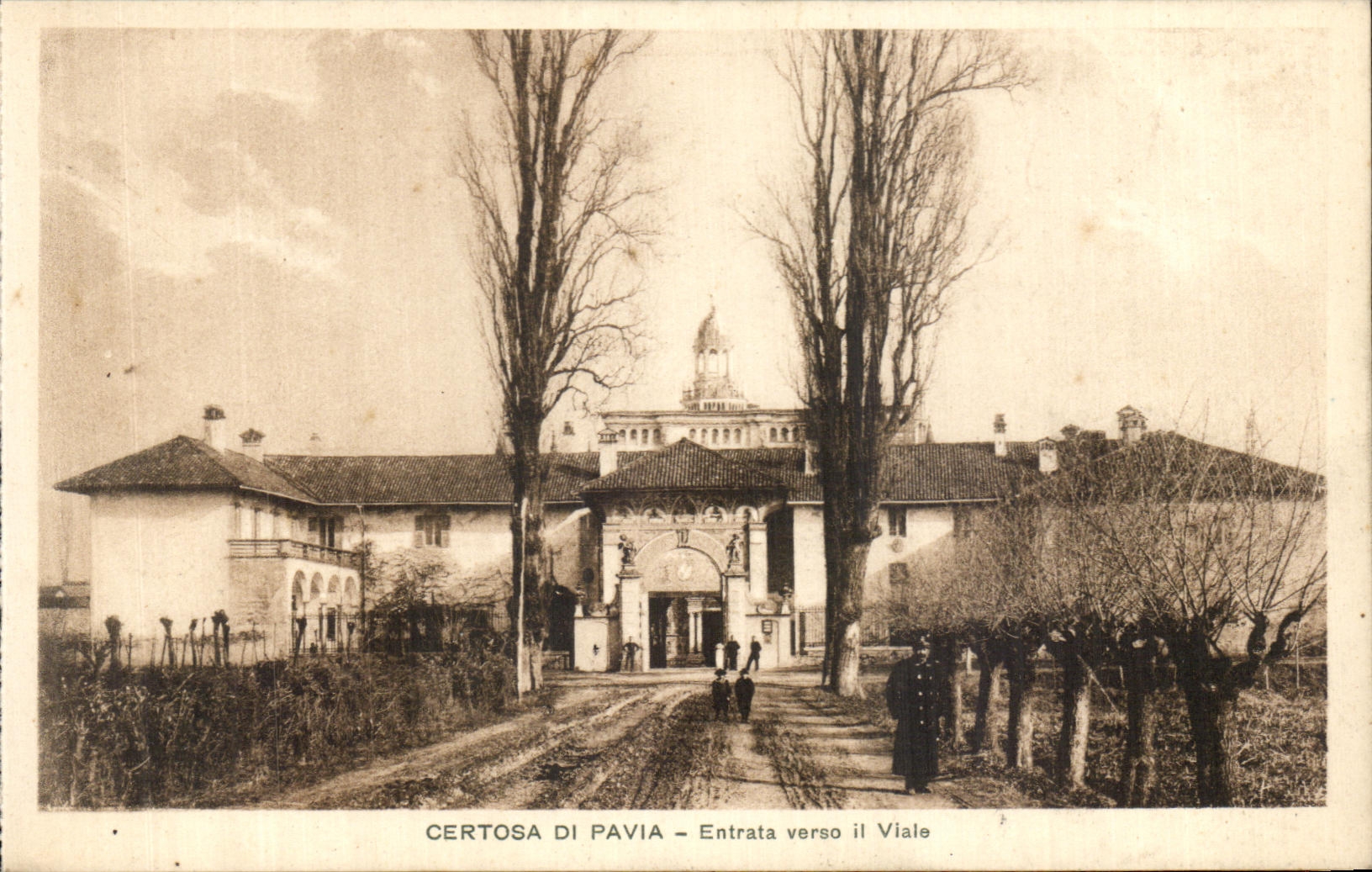 CPA Certosa Di Pavia Entrata Verso il Viale