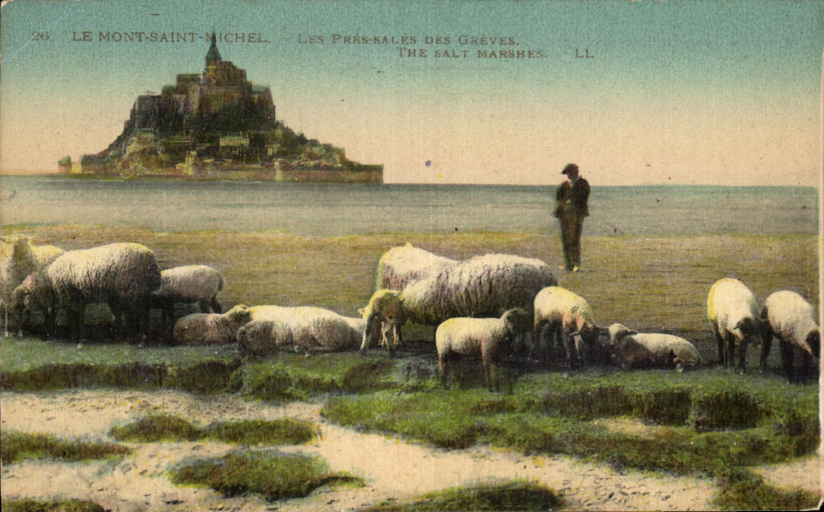 CPA Le Mont St Michel Les Pres Sales Des Greves Moutons Berger 