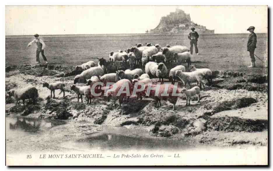 Le Mont Saint-Michel — Les Prés-Salés des Grèves — LL