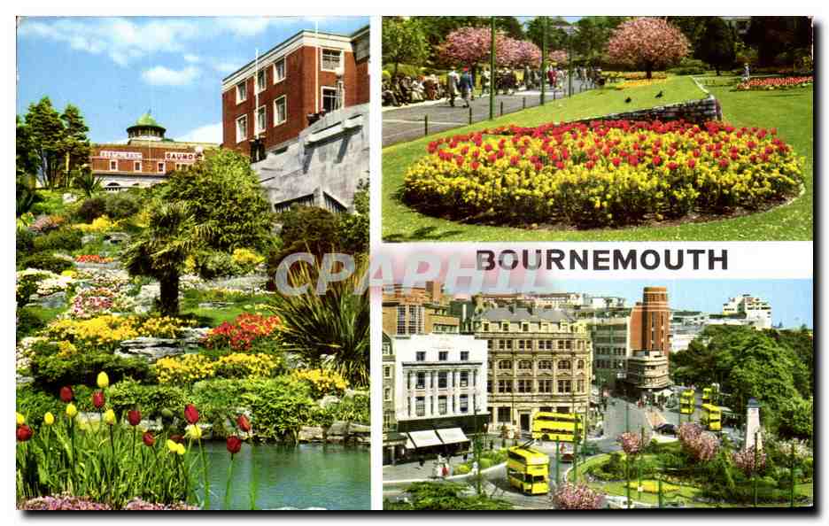 CPM Bournemouth