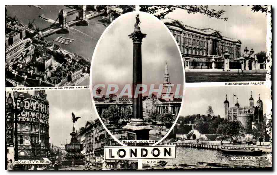 CPA Nelson Column London