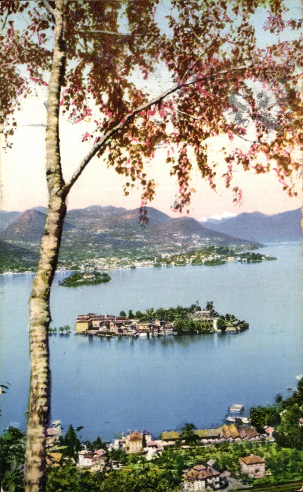 CPA Stresa Borromeo Pallanza ed Isole Lago Maggiore