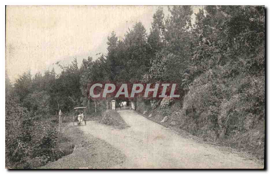 CPA Entrance to Hakgalla Gardens Nuwera Eliya Sri Lanka 