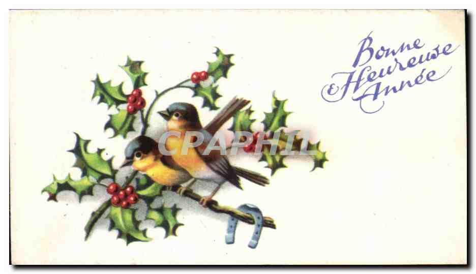 CPA Bonne Heureuse Annee oiseaux