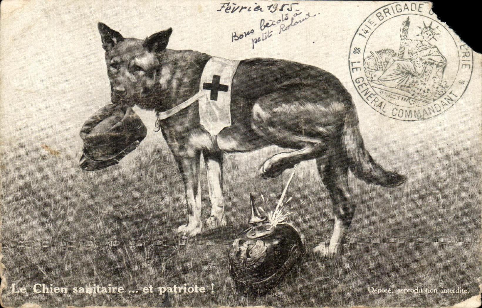 CPA Le Chien sanitaire et Patriote Militaria 