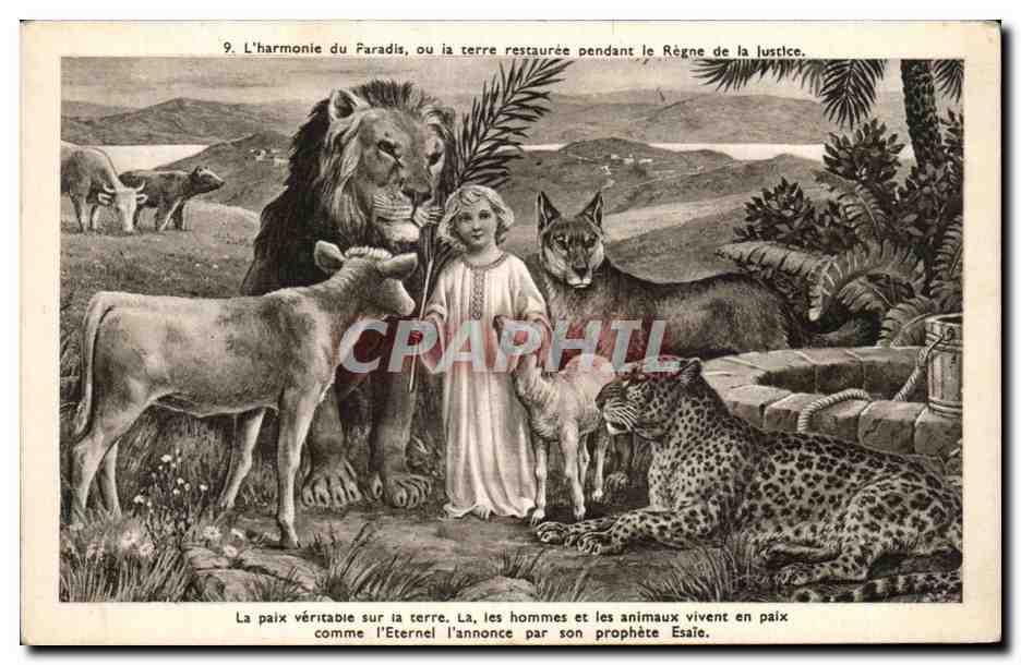 CPA L'harmonie du Paradis ou la terre estauree pendant le Regne de la Justice Lion Jaguar Agneau Ours Loup