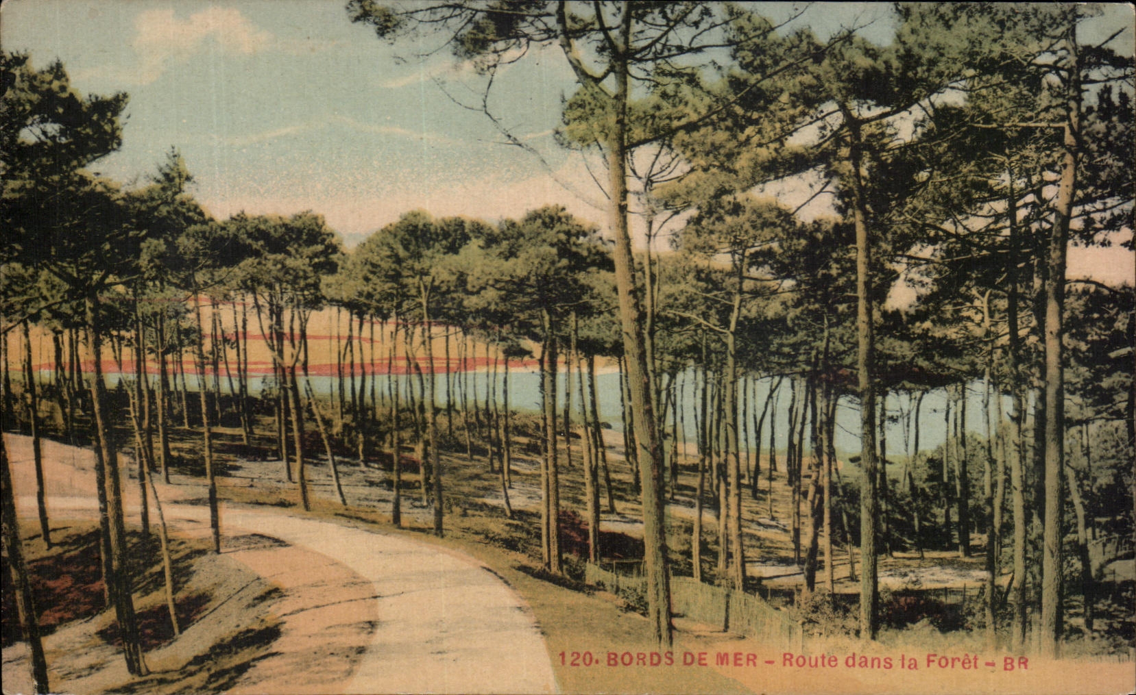 CPA Bords De Mer Route dans la Foret