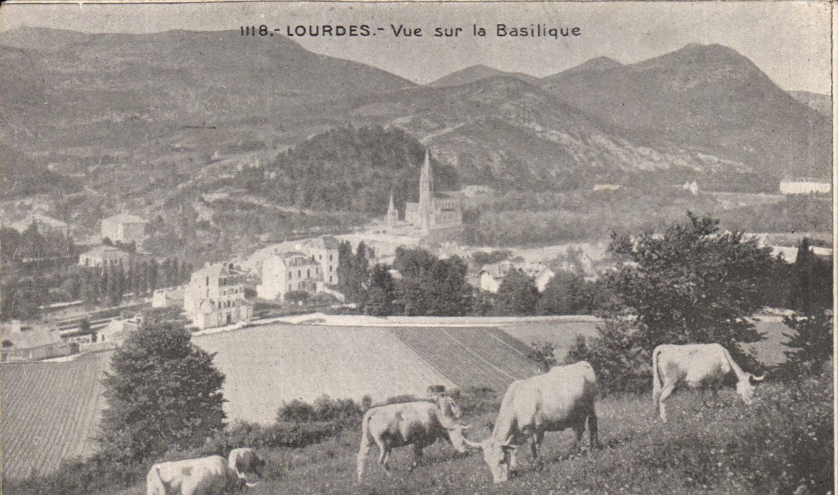 CPA Lourdes Vue Sur la Basilique Vaches